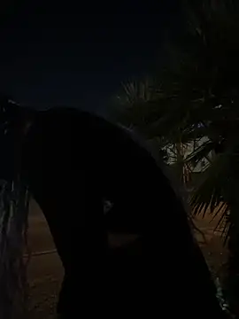 TranSexualJade95 online show from November 1, 2025, 10:06 am