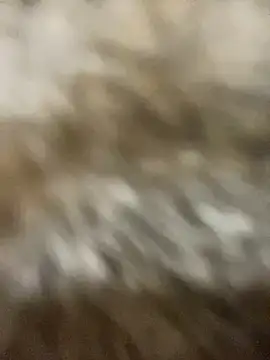 Snapshot of Sayhi_xo chatting on September 27, 2025, 9:25 am Sayhi xo online show from September 27, 2025, 9:25 am