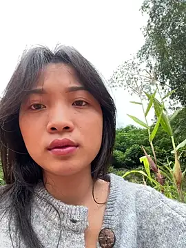 Snapshot of Phayphay77 chatting on November 3, 2025, 8:37 am Phayphay77 online show from November 3, 2025, 8:37 am