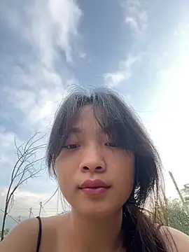 Snapshot of Phayphay77 chatting on November 6, 2025, 12:00 am Phayphay77 online show from November 6, 2025, 12:00 am