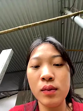 Snapshot of Phayphay77 chatting on November 21, 2025, 1:48 am Phayphay77 online show from November 21, 2025, 1:48 am