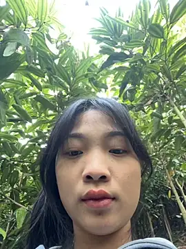 Snapshot of Phayphay77 chatting on November 25, 2025, 1:05 am Phayphay77 online show from November 25, 2025, 1:05 am