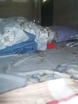 Tan32 11 online show from February 5, 2026, 12:26 am