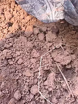 Hot raaani online show from November 7, 2025, 6:13 am