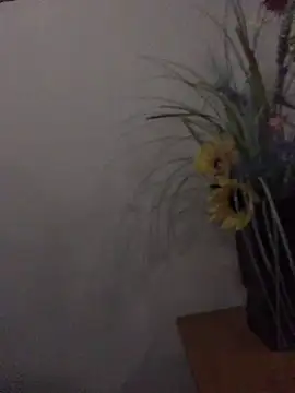 Snapshot of newjam chatting on October 26, 2025, 8:09 am newjam online show from October 26, 2025, 8:09 am