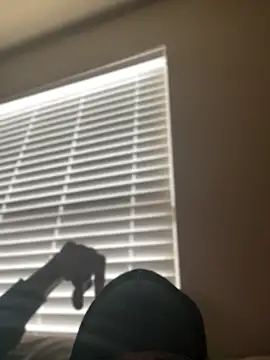 Dolla-Billlz online show from March 15, 2026, 2:45 pm