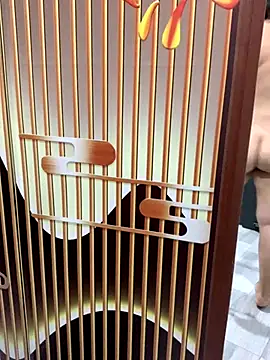 yang-2269 online show from November 21, 2025, 8:51 pm