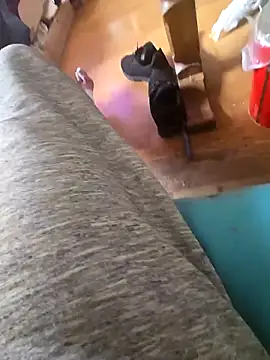 Snapshot of Fonse1860 chatting on October 19, 2025, 8:59 am Fonse1860 online show from October 19, 2025, 8:59 am