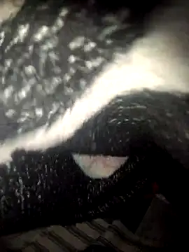 fantasma667 online show from December 1, 2025, 12:21 pm