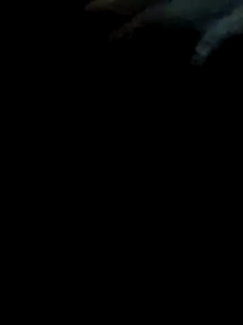 Snapshot of pollitaloca123 chatting on November 7, 2025, 9:04 pm pollitaloca123 online show from November 7, 2025, 9:04 pm