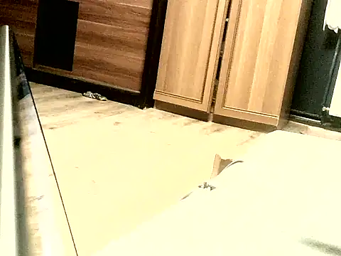 KissMeAss9387 online show from September 28, 2025, 7:08 pm