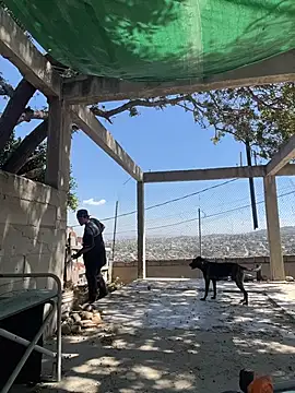 Shankortiz online show from April 6, 2026, 9:16 pm