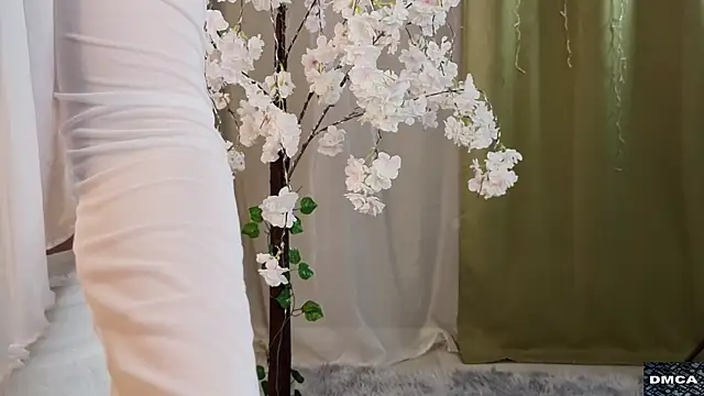 AccaCroyle online show from November 2, 2025, 8:11 pm