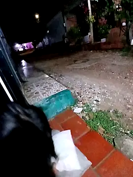 jeltsin3-25 online show from February 24, 2026, 1:58 am