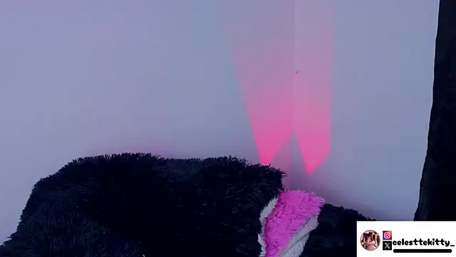 celestte evans 1 online show from February 8, 2026, 6:17 am