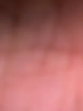 Snapshot of ninjabod chatting on October 30, 2025, 8:20 pm ninjabod online show from October 30, 2025, 8:20 pm