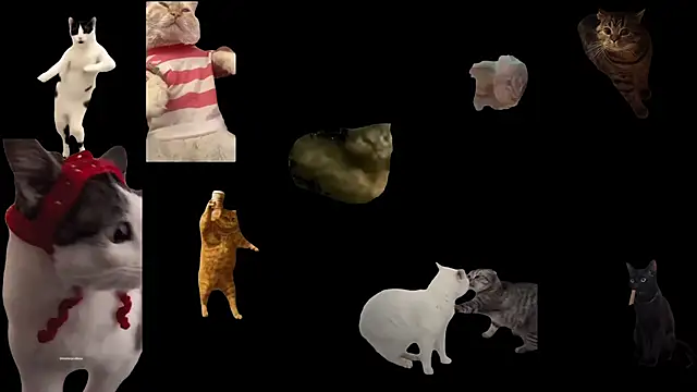 ch0wn m online show from November 18, 2025, 3:38 pm