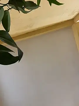 femboyslqueen online show from December 1, 2025, 6:40 am