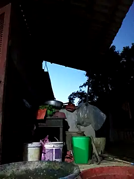 Bibilenu online show from October 19, 2025, 11:00 am