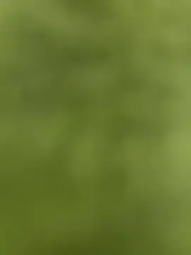 youyou933 online show from September 12, 2025, 5:57 pm