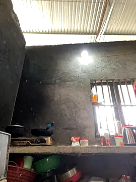 Sunny lotus online show from November 16, 2025, 4:29 am