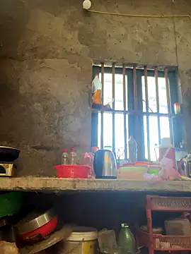 Sunny lotus online show from December 1, 2025, 5:34 am