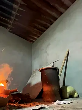 Sunny lotus online show from December 15, 2025, 12:09 pm