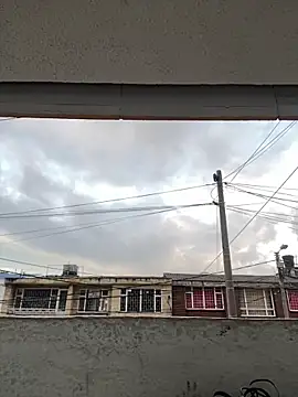 Sallem Pink online show from March 20, 2026, 11:15 am