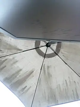 Sallem Pink online show from April 4, 2026, 11:18 am