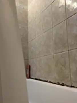 1mistaGoodWood online show from November 30, 2025, 1:26 pm