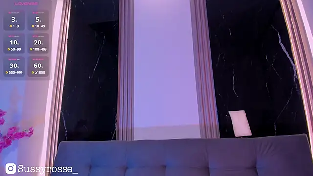 Snapshot of Sussyrosse_ chatting on January 8, 2026, 12:13 am Sussyrosse online show from January 8, 2026, 12:13 am