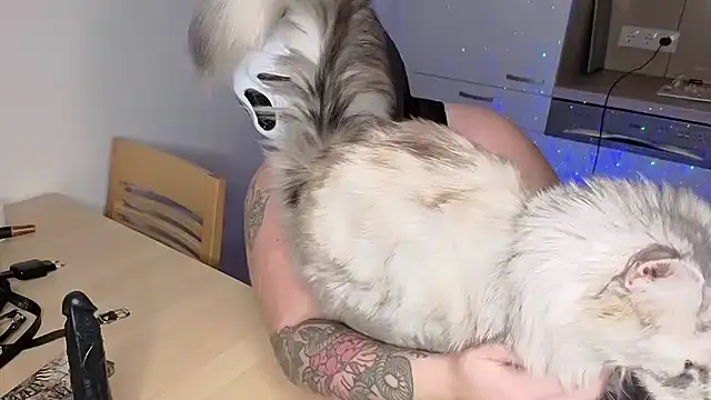 MaeNoir online show from October 31, 2025, 10:33 pm