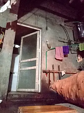 TinTin321 online show from November 12, 2025, 10:37 am