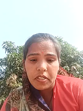 Cut rajbati online show from November 21, 2025, 8:35 am