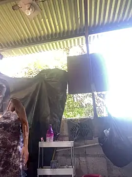 wildpussycat69 online show from April 16, 2026, 1:39 am