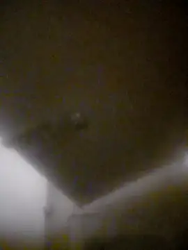 bullut06 online show from January 8, 2026, 11:45 am