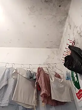 naop04 online show from November 1, 2025, 11:29 pm