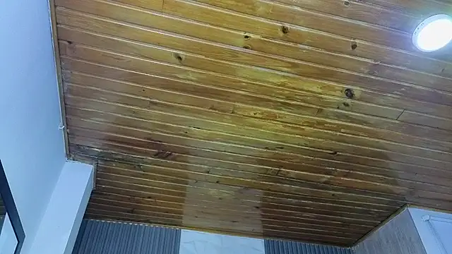 Bonnali lune online show from April 19, 2026, 4:45 am