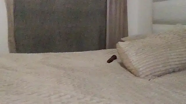 SexyNonnyy online show from October 10, 2025, 6:40 pm