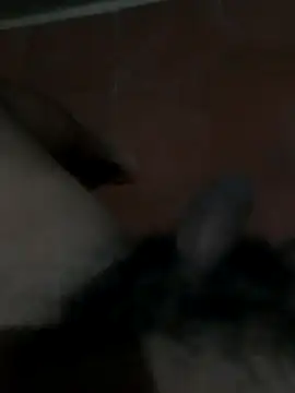 PhlegmySewerage online show from October 11, 2025, 1:16 am