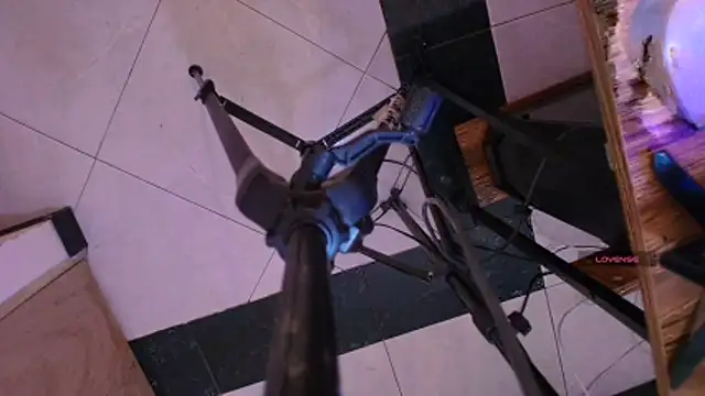 Terraelowen online show from November 13, 2025, 11:20 am