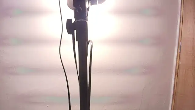 Terraelowen online show from February 25, 2026, 11:31 am