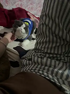 keelinnn19 online show from February 18, 2026, 2:02 pm