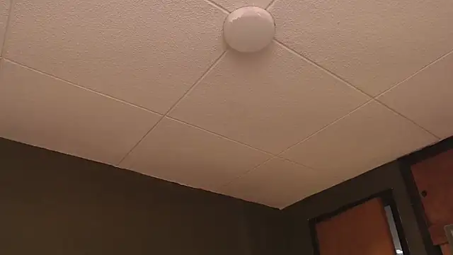 PaulEvens online show from October 17, 2025, 1:25 pm