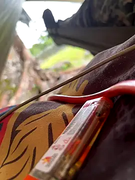 Alabestia12 online show from November 10, 2025, 4:39 pm