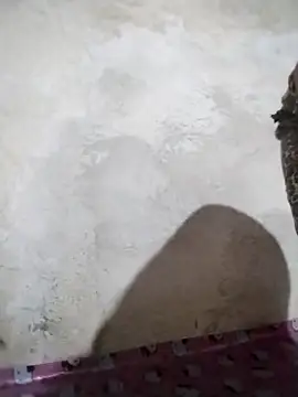 big booty15 online show from October 5, 2025, 2:32 am