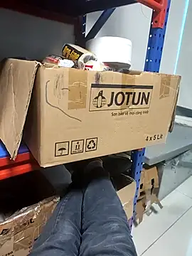 PhongTranHN1 online show from January 18, 2026, 9:13 am