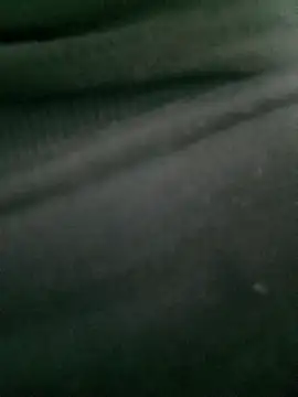 Rose 194 online show from October 14, 2025, 1:12 pm