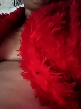 Snapshot of heena3355 chatting on November 20, 2025, 4:12 am heena3355 online show from November 20, 2025, 4:12 am