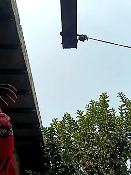 Snapshot of heena3355 chatting on December 2, 2025, 3:56 am heena3355 online show from December 2, 2025, 3:56 am